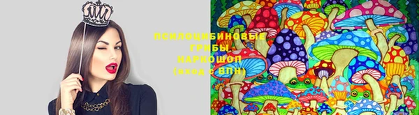 марки lsd Гусев
