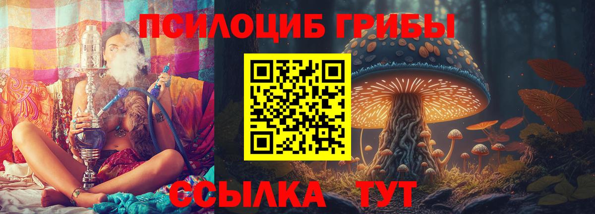 Псилоцибиновые грибы Cubensis  Вход с VPN  Наро-Фоминск  Галлюциногенные грибы MAGIC MUSHROOMS 